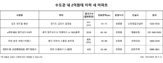 수도권 2억원대 이하 새 아파트 현황<닥터아파트 및 각사 제공>